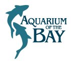 [This aquarium is part of Pier 39 in San Francisco, CA.  I've been there once and would like to go again.]