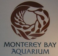 [ Monterey Bay Aquarium. ]